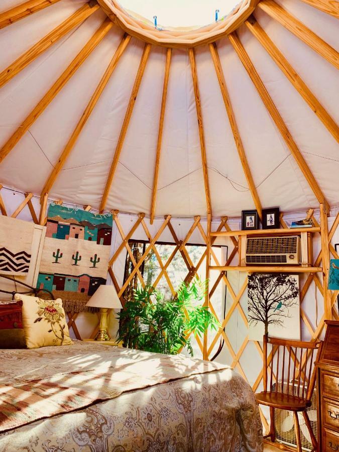 The Yoga Yurta At Sunny Mellow Eco Villa Tijeras Eksteriør billede